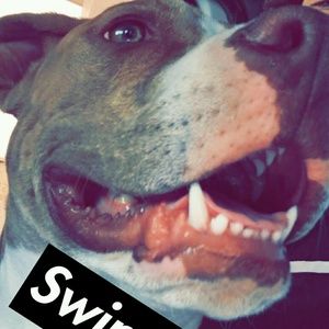 Meet your Posher, Ashton